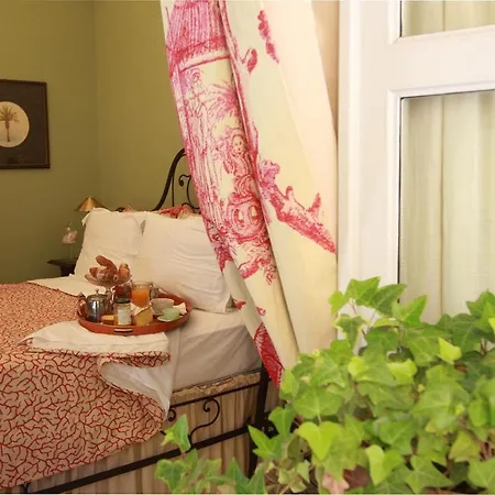 Casa Dellatorre B&B 알바